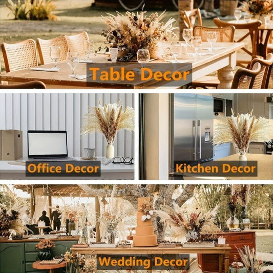 Rabbit Tail Grass Dried Flower Eternal Flower