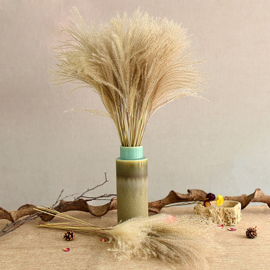 Reed Dried Flower Bouquet Decoration Material