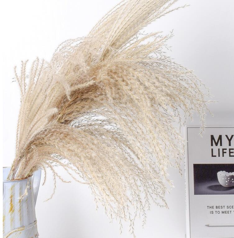 Reed Dried Flower Bouquet Decoration Material