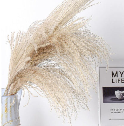 Reed Dried Flower Bouquet Decoration Material