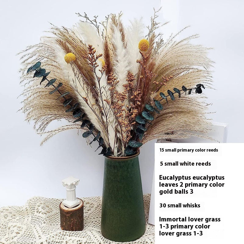 PAMPAS Bohemian Decorative Reed Rabbit Tail Grass Mix And Match Dried Flowers Bouquet