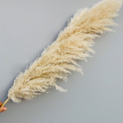 Reed dried flower bouquet