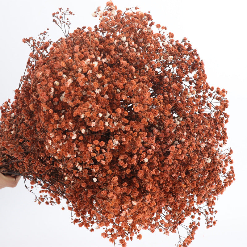 Perpetual Flower Bouquet With Dried Starflower