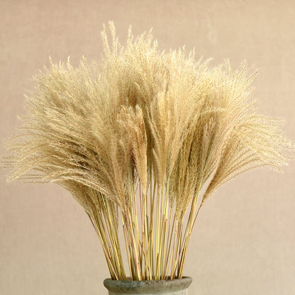 Reed Dried Flower Bouquet Decoration Material