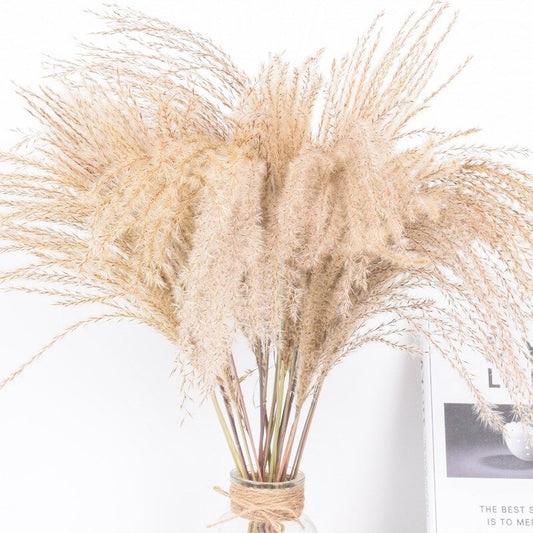 Reed Dried Flower Bouquet Decoration Material