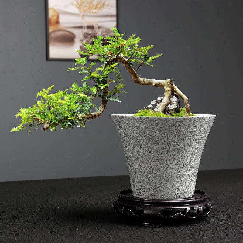 Simple Ceramic Flower Pot Indoor Greenery Pot Ware