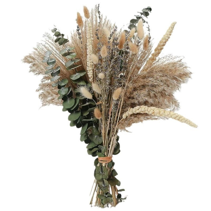 PAMPAS Bohemian Decorative Reed Rabbit Tail Grass Mix And Match Dried Flowers Bouquet