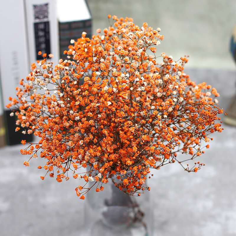 Perpetual Flower Bouquet With Dried Starflower