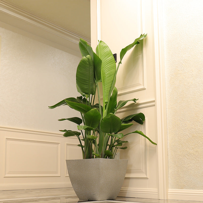 Resin Living Room Large Flower Pot