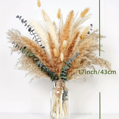 Rabbit Tail Grass Dried Flower Eternal Flower