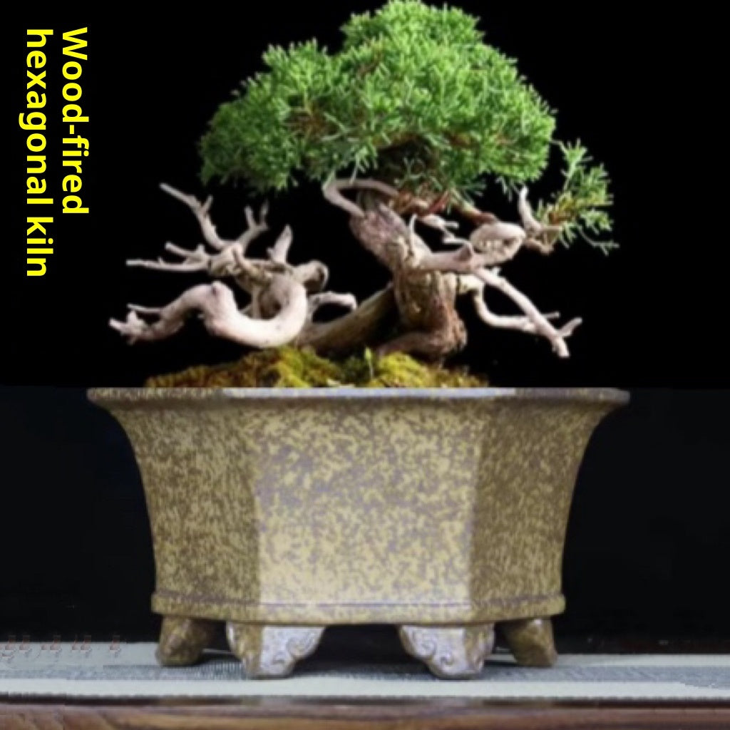 Zisha Reduction-fired Handmade Orchid Pot Clivia Pot