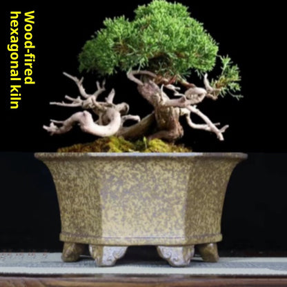 Zisha Reduction-fired Handmade Orchid Pot Clivia Pot