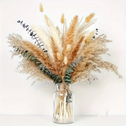 Rabbit Tail Grass Dried Flower Eternal Flower