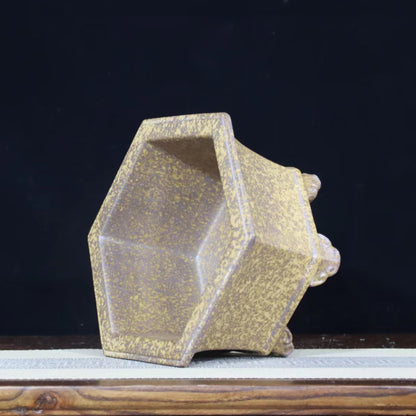 Zisha Reduction-fired Handmade Orchid Pot Clivia Pot