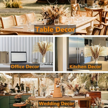 Rabbit Tail Grass Dried Flower Eternal Flower