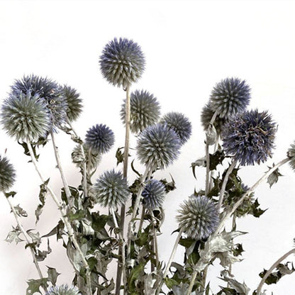 Dried Flower Blue Planet Home Decoration Dried Flowers Bouquet Photography Props