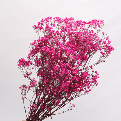 Perpetual Flower Bouquet With Dried Starflower