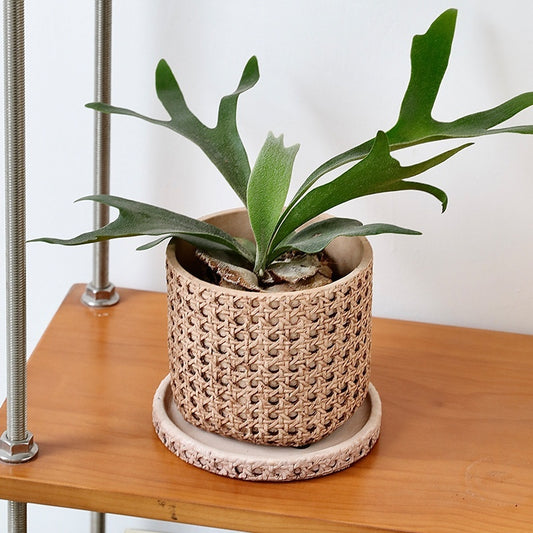 Woven Bamboo Straw Creative Green Plants Pots With Tray