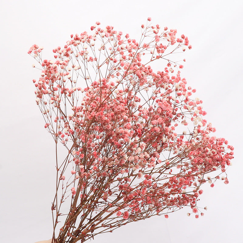 Perpetual Flower Bouquet With Dried Starflower
